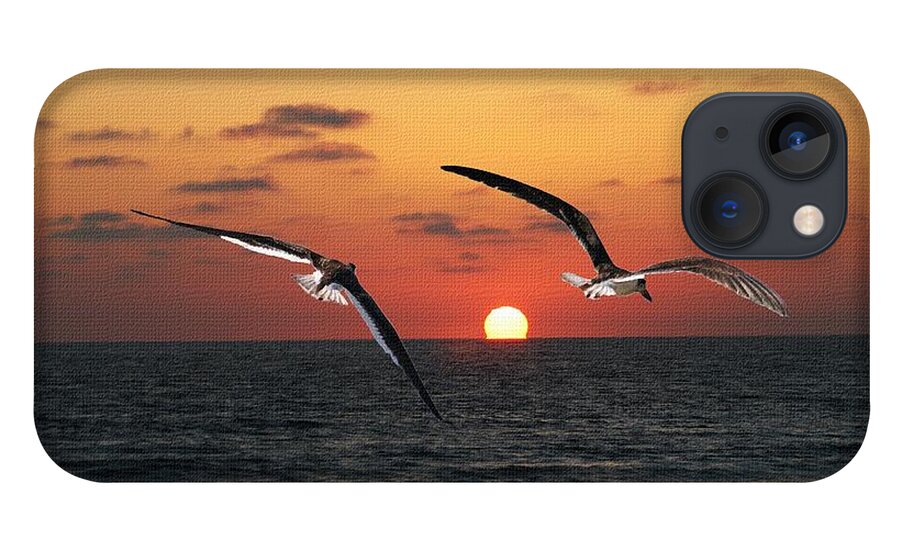 Black Skimmers iPhone 13 Case featuring the photograph Black Skimmers At Sunset by Tom Janca