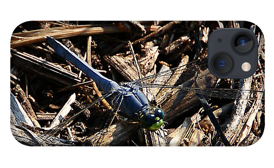 Insect iPhone 13 Case featuring the photograph Blue Dragonfly by Chauncy Holmes