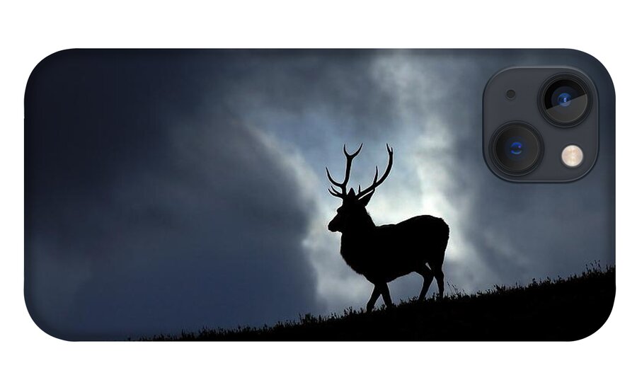 Stag iPhone 13 Case featuring the photograph Blue horizon by Gavin Macrae
