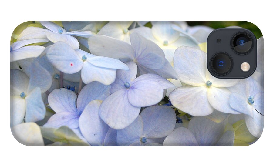 Flower iPhone 13 Case featuring the photograph Blue Hydrangea Flowers by Amy Fose