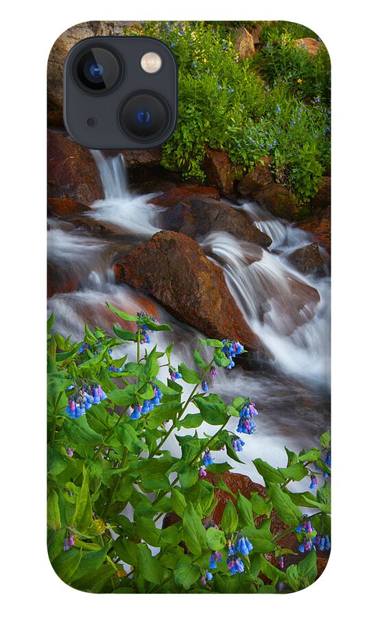 Stream iPhone 13 Case featuring the photograph Bluebell Creek by Darren White