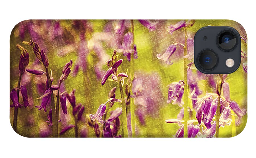 Bell Bottle iPhone 13 Case featuring the photograph Bluebell in the woods by Spikey Mouse Photography