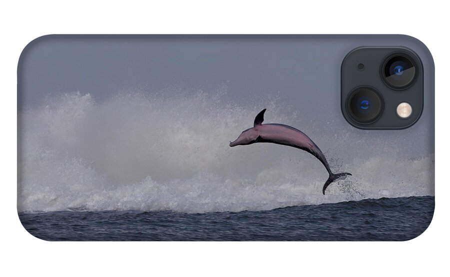 Bottlenose Dolphin iPhone 13 Case featuring the photograph Bottlenose Dolphin Photo by Meg Rousher