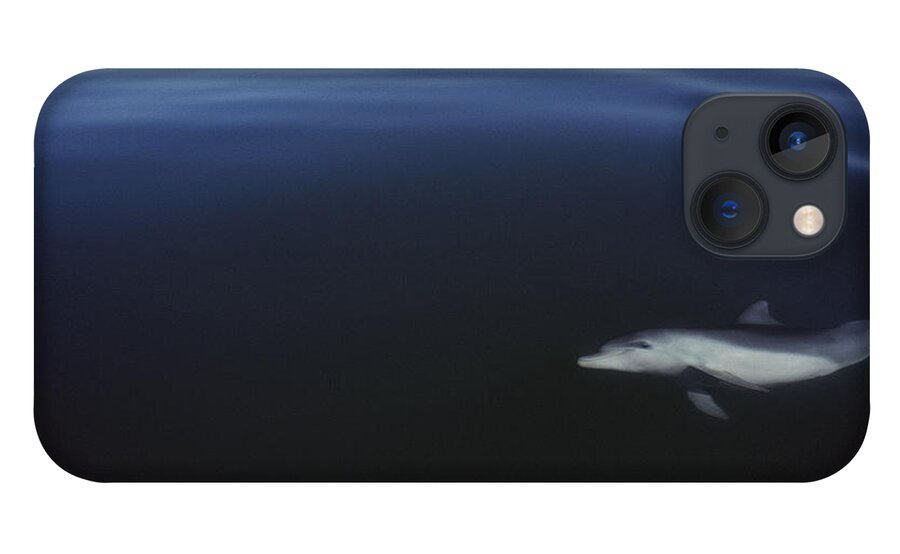 Feb0514 iPhone 13 Case featuring the photograph Bottlenose Dolphin Swimming Australia by Flip Nicklin