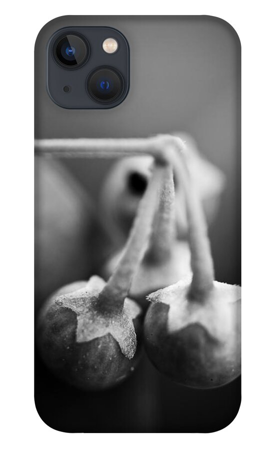 Blumwurks iPhone 13 Case featuring the photograph Break Your Fall by Matthew Blum