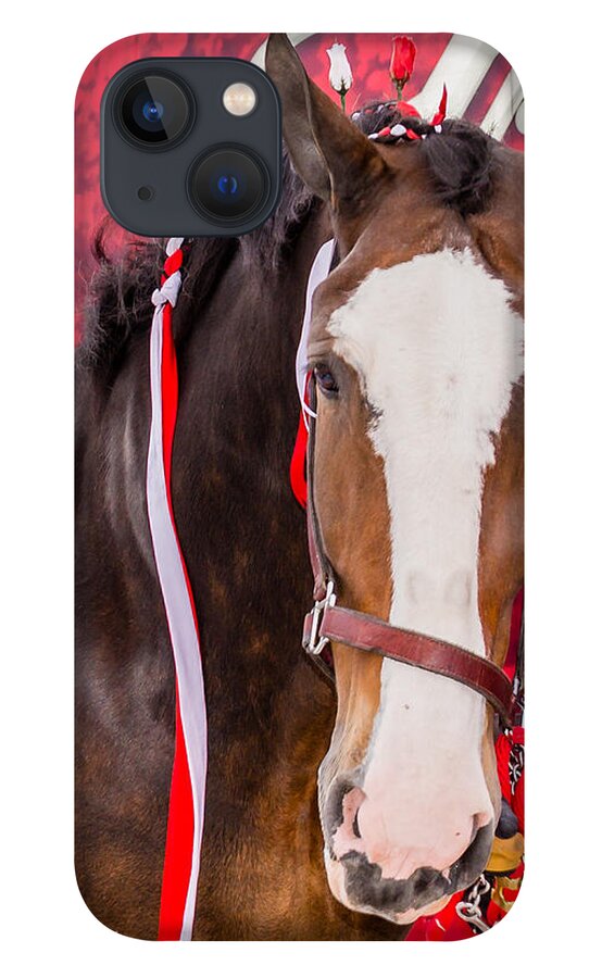 Beer iPhone 13 Case featuring the photograph Budweiser Clydesdale by Stacy Abbott