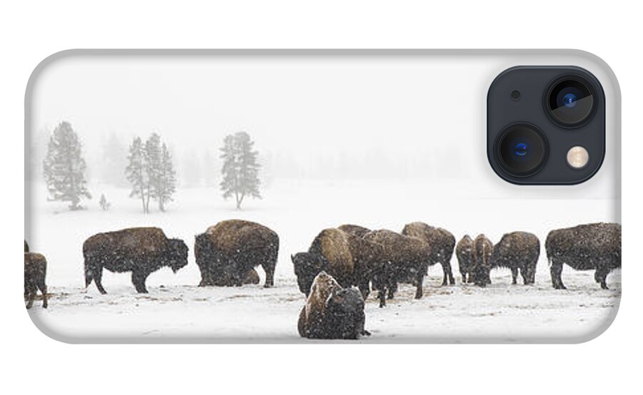 Yellowstone iPhone 13 Case featuring the photograph Buffalo Herd in Snow by Bill Cubitt