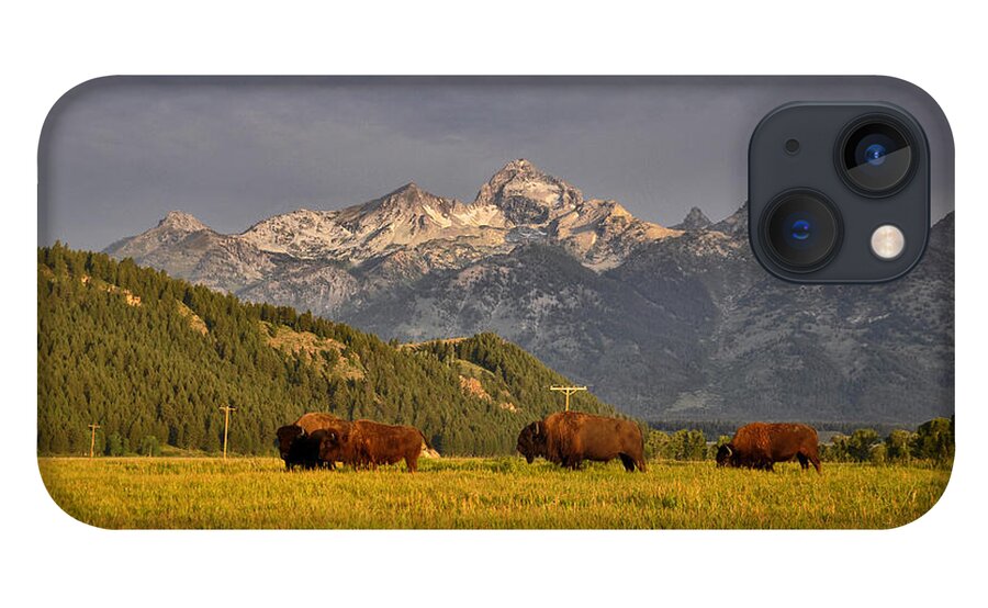 Buffalo iPhone 13 Case featuring the photograph Buffalo Sunrise by Rob Hemphill