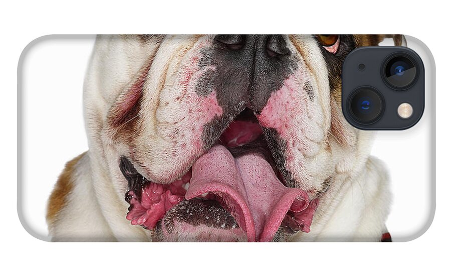 Pets iPhone 13 Case featuring the photograph Bulldog by Gandee Vasan