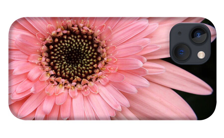 Flower iPhone 13 Case featuring the photograph Burst of Pink by Jayne Carney