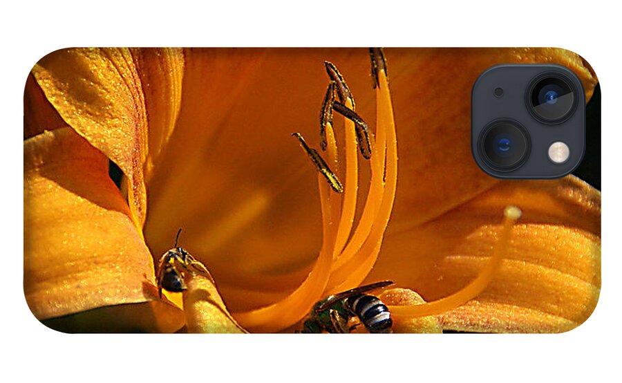 Flowers iPhone 13 Case featuring the photograph Busy Bees by Chauncy Holmes