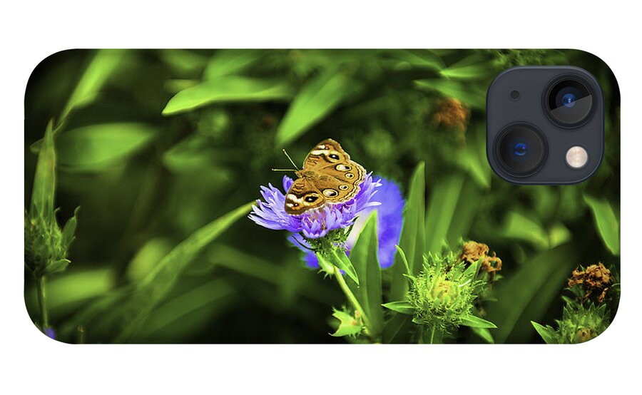 Insects iPhone 13 Case featuring the photograph Butterfly Glow by Donald Brown