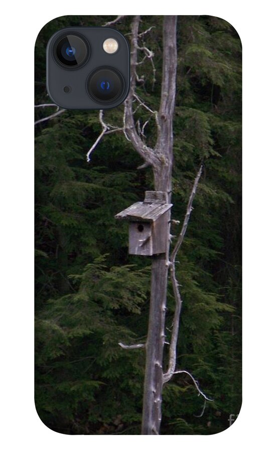 Birdhouse iPhone 13 Case featuring the photograph Cabin On Mud Lake by Jackie Mueller-Jones