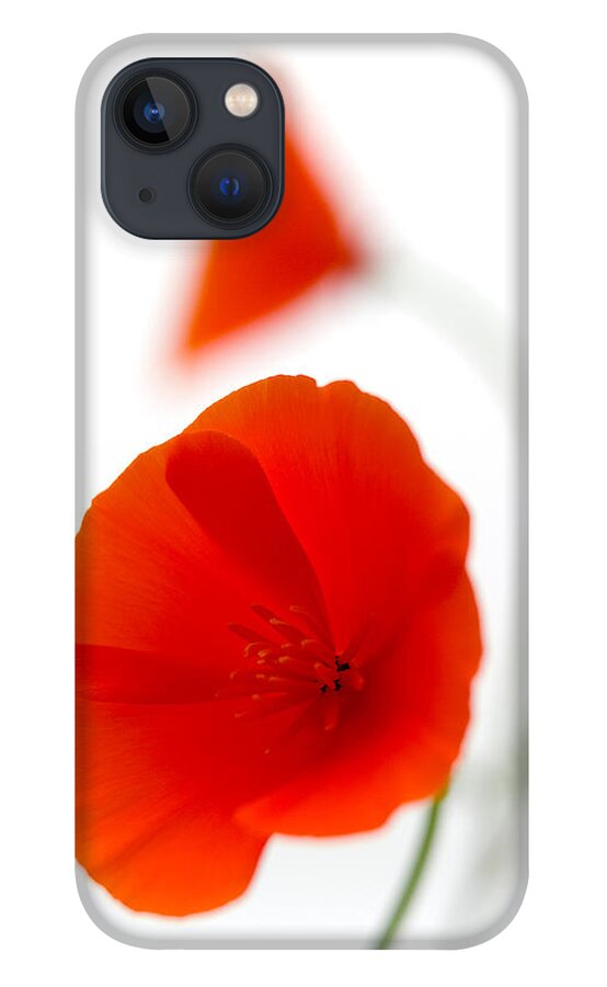 Flower iPhone 13 Case featuring the photograph Californian Poppies 2 by Peter OReilly