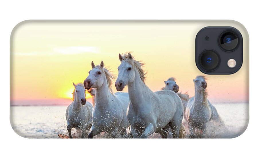 #faatoppicks iPhone 13 Case featuring the photograph Camargue White Horses Running In Water by Peter Adams