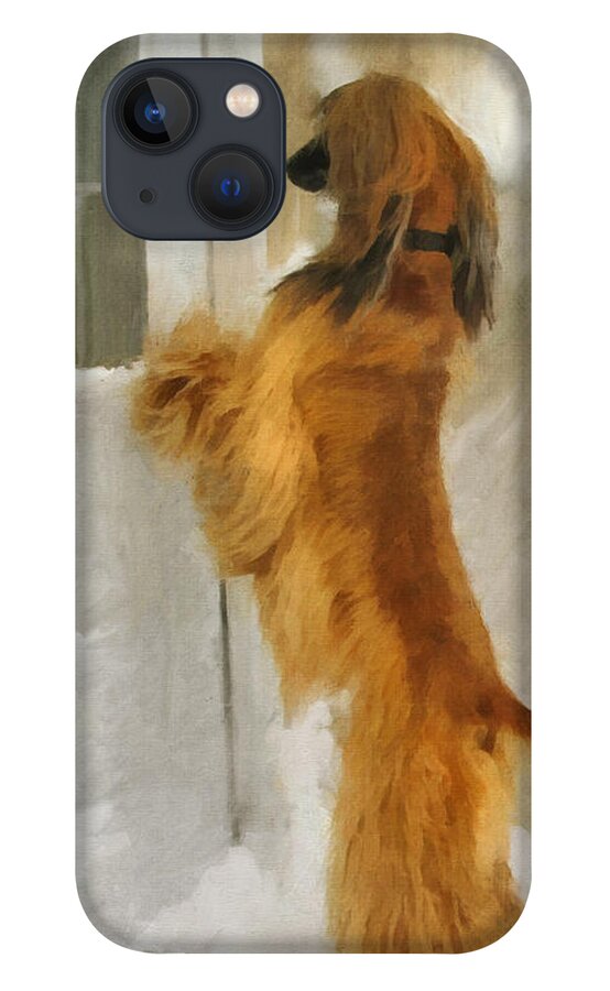 Afghan Hound iPhone 13 Case featuring the painting Can I Come In Now? by Diane Chandler