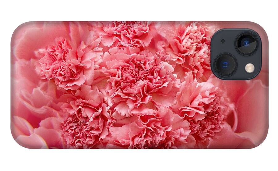 Pink Carnations iPhone 13 Case featuring the photograph Carnations by Marina Kojukhova