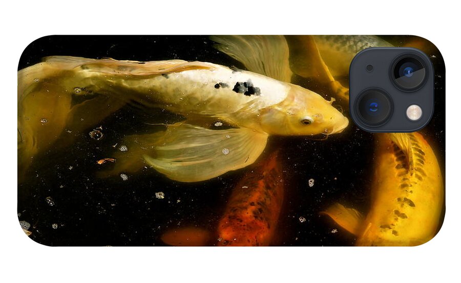 Koi iPhone 13 Case featuring the photograph Catch of the Day by Ira Shander