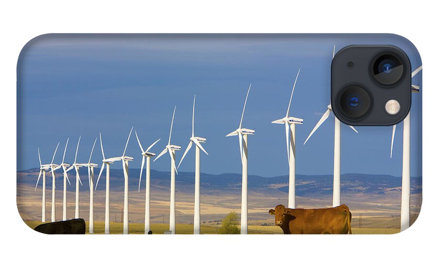00431076 iPhone 13 Case featuring the photograph Cattle And Windmills in Alberta Canada by Yva Momatiuk and John Eastcott