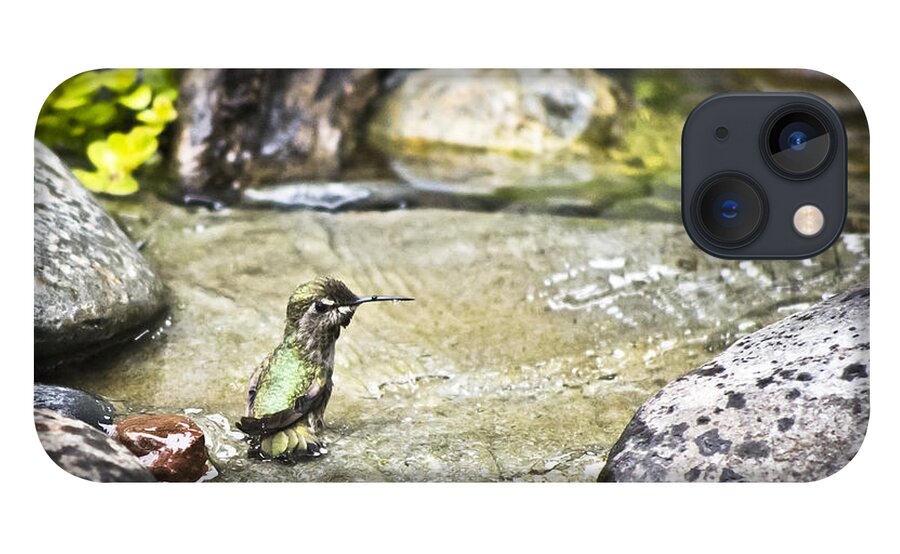 Hummingbird iPhone 13 Case featuring the photograph Caught In The Act by Priya Ghose