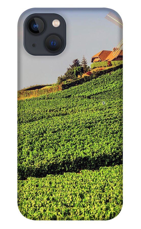 Viewpoint iPhone 13 Case featuring the photograph Champagne by Kodachrome25