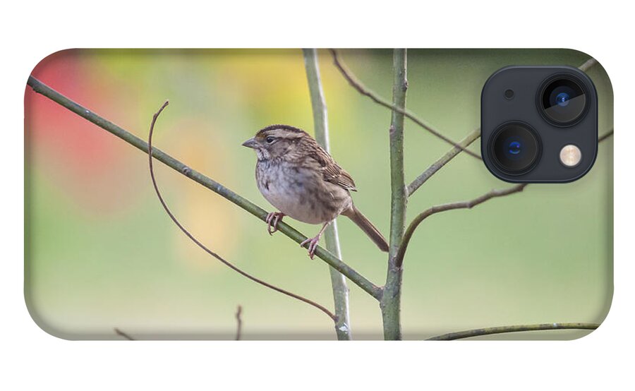 White Throated Sparrow iPhone 13 Case featuring the photograph Chillin' by Cathy Kovarik