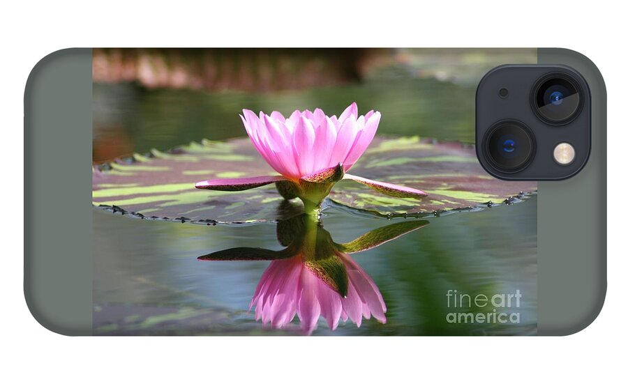 Pink Lotus Flower Reflecting In Pond iPhone 13 Case featuring the photograph Clarity by Mary Lou Chmura