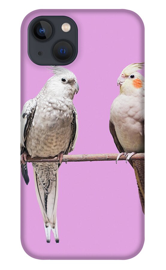 Pets iPhone 13 Case featuring the photograph Cockatiel Parrots by Larry Washburn