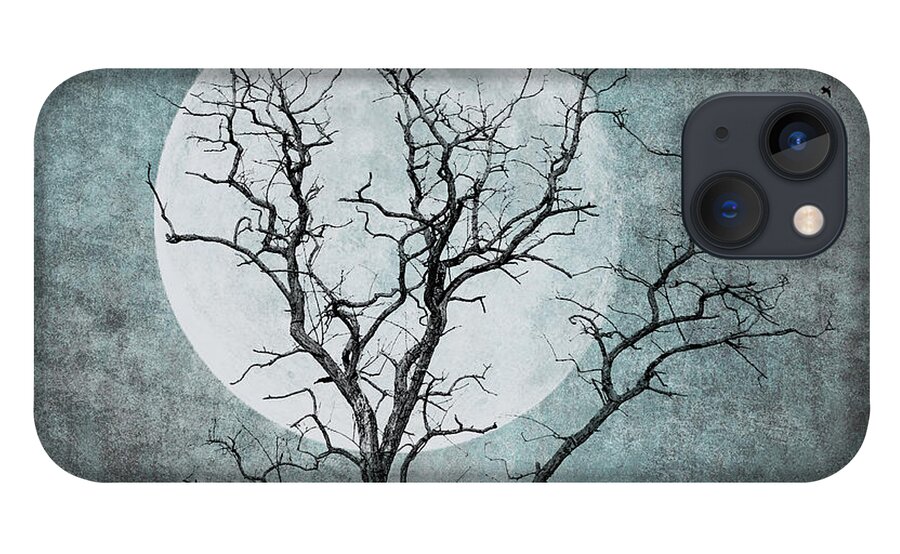 Tree iPhone 13 Case featuring the photograph Cold Winter Night by Cathy Kovarik