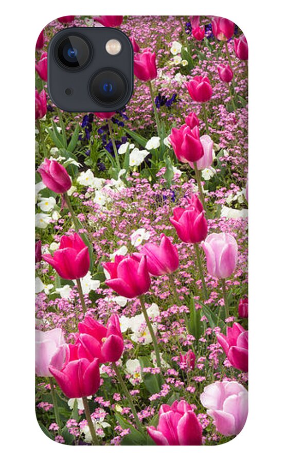 Flowers iPhone 13 Case featuring the photograph Colorful pink tulips and other flowers in spring by Matthias Hauser