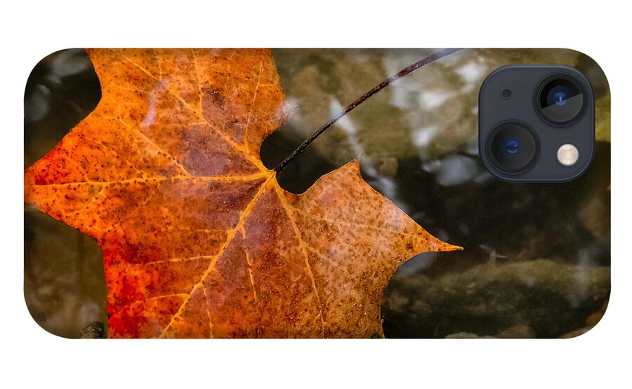 Leaf iPhone 13 Case featuring the photograph Coming Up For Air by Andrea Platt