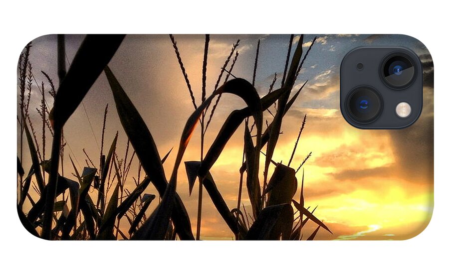 Sky iPhone 13 Case featuring the photograph Cornfield Sundown by Angela Rath