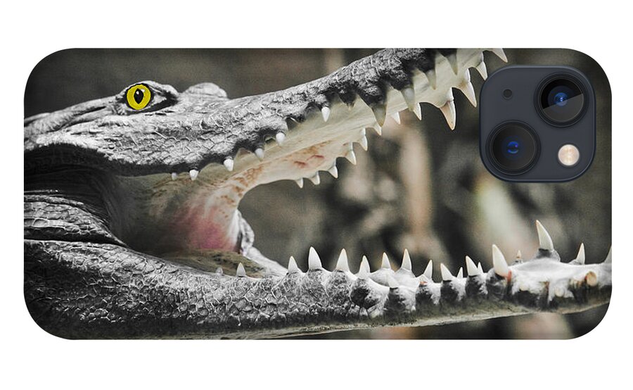 Croc iPhone 13 Case featuring the photograph Croc's Shiny Whites by Rich Collins