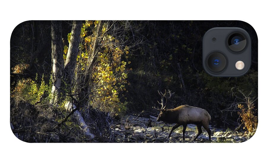 Bull Elk iPhone 13 Case featuring the photograph Crossing the Buffalo at Daybreak by Michael Dougherty