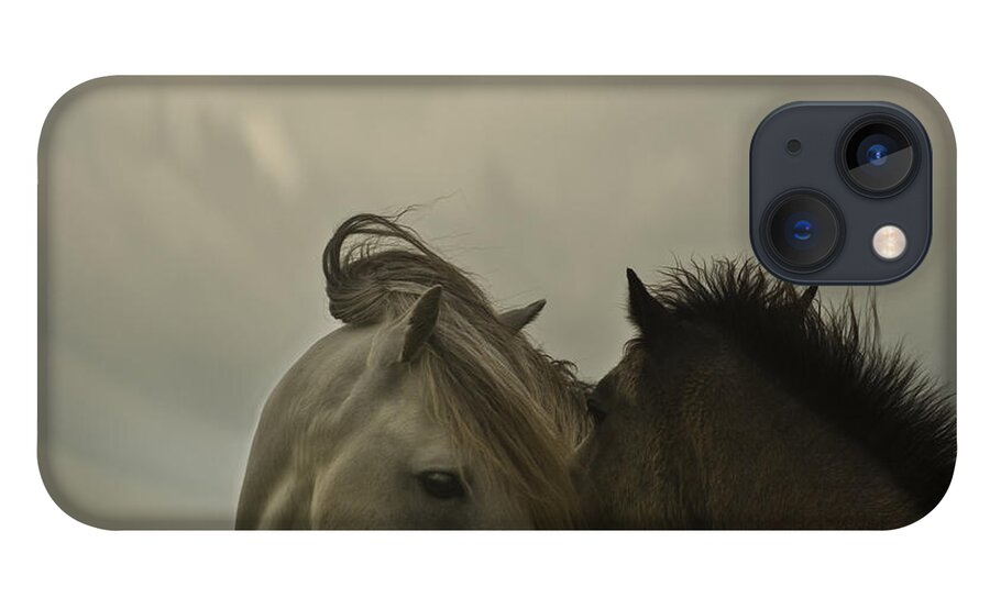 Horses iPhone 13 Case featuring the photograph Cuddle Me by Ang El