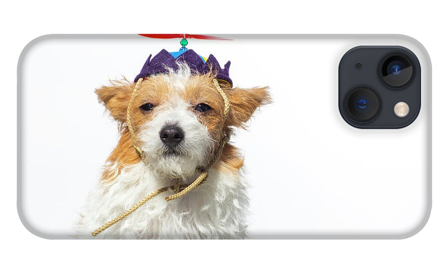 Pets iPhone 13 Case featuring the photograph Cute Dog With Propeller Hat - The by Amandafoundation.org