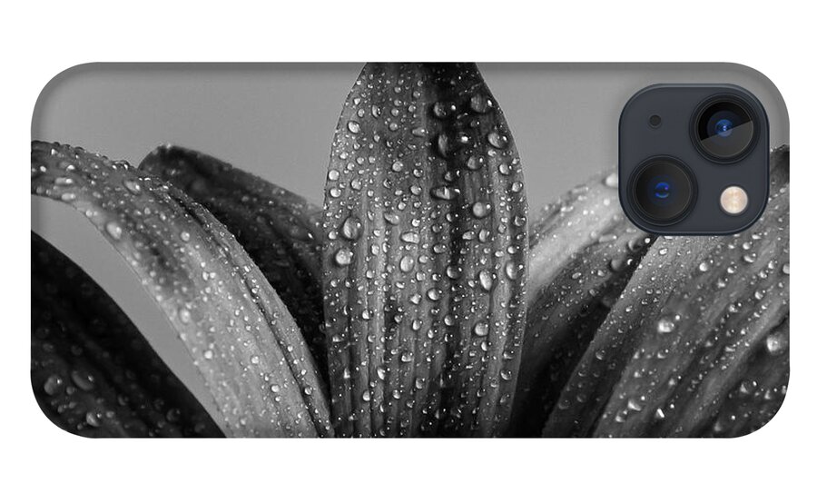 Daisy iPhone 13 Case featuring the photograph Daisy Dew B/W by Melissa Bittinger