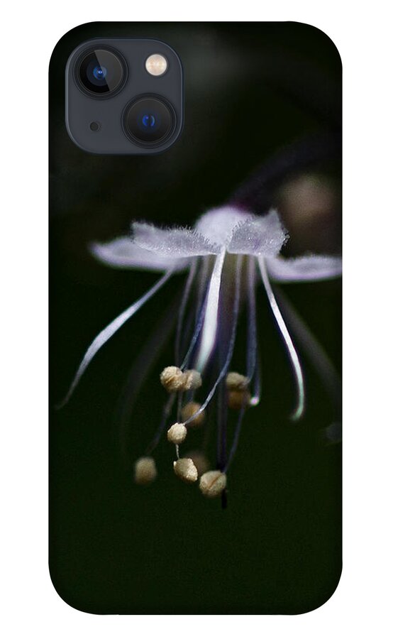 Flower iPhone 13 Case featuring the photograph Dance in the Forest by Betty Depee