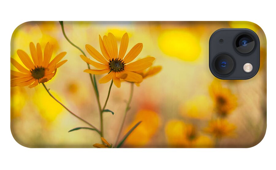 Wildflowers iPhone 13 Case featuring the photograph Dance by Joel Olives