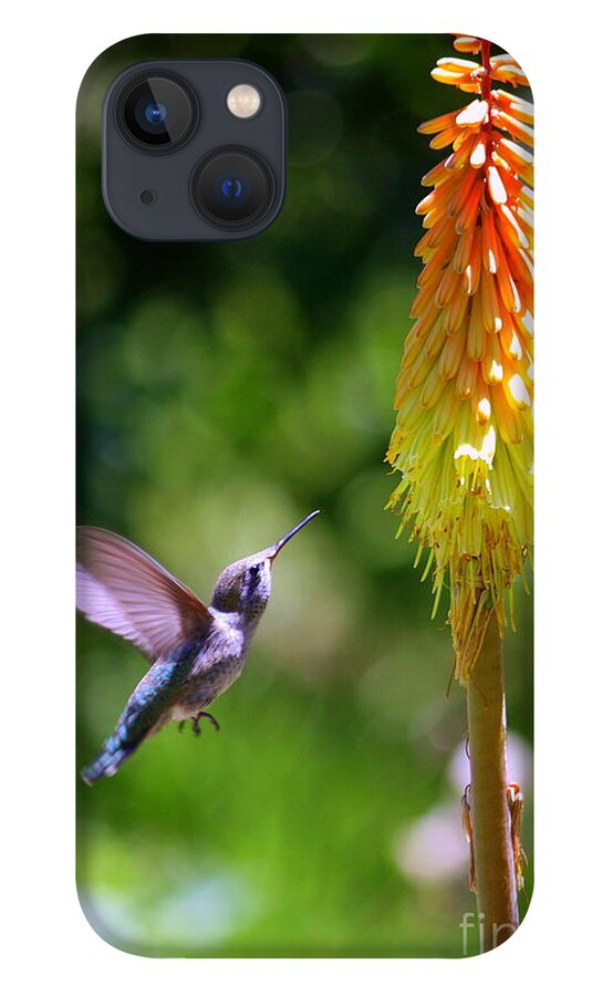 Discisions iPhone 13 Case featuring the photograph Decisions Decisions by Patrick Witz
