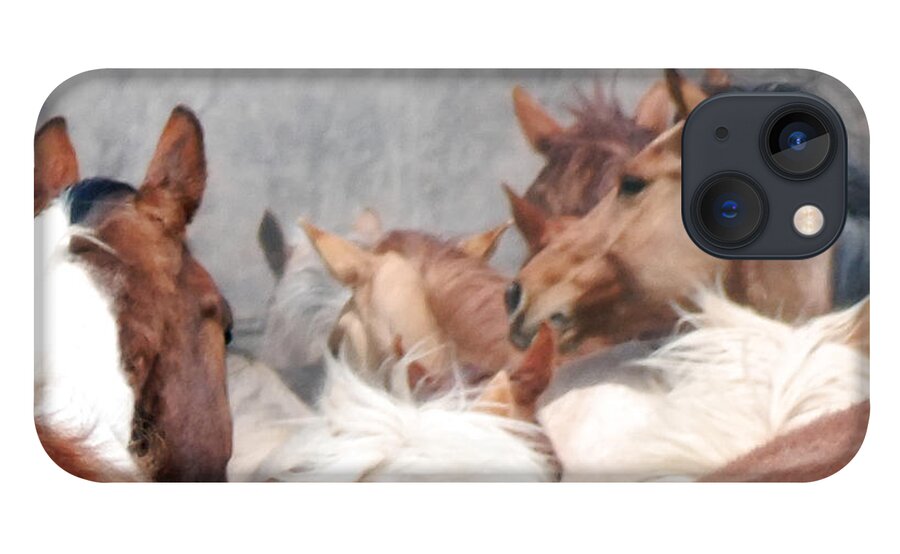 Horses iPhone 13 Case featuring the photograph Delicate Illusion by Kae Cheatham