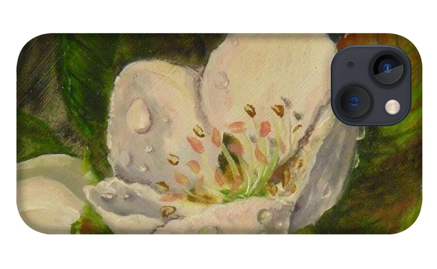 Pear iPhone 13 Case featuring the painting Dew of Pear's Blooms by Nicole Angell