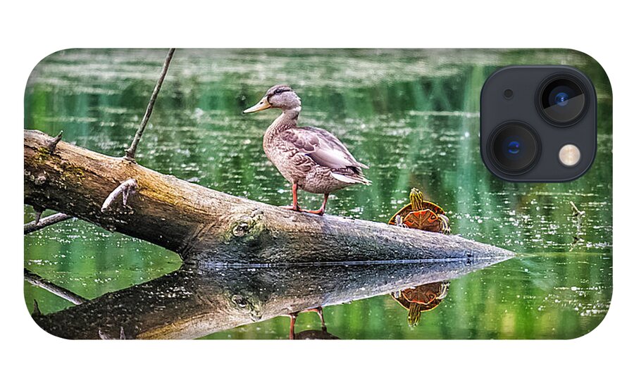 Reflection iPhone 13 Case featuring the photograph Does This Make My Tail Look Big by Paul Freidlund