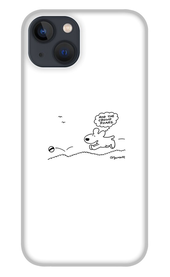 Dog Chases After A Ball iPhone 13 Case