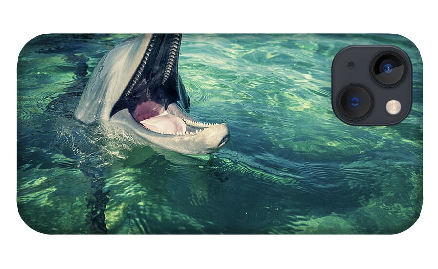 Close-up iPhone 13 Case featuring the photograph Dolphin by Thepalmer