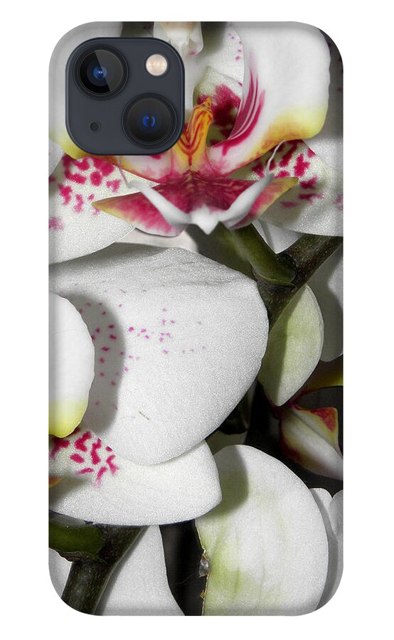 White Orchids iPhone 13 Case featuring the photograph Dots and Splashes of Pink on Orchid by Kim Galluzzo