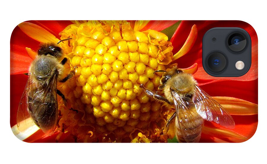 Bees iPhone 13 Case featuring the photograph Double Trouble by Lori Lafargue