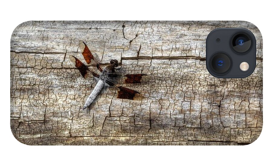 Dragonfly iPhone 13 Case featuring the photograph Dragonfly On Wood by Deborah Ritch
