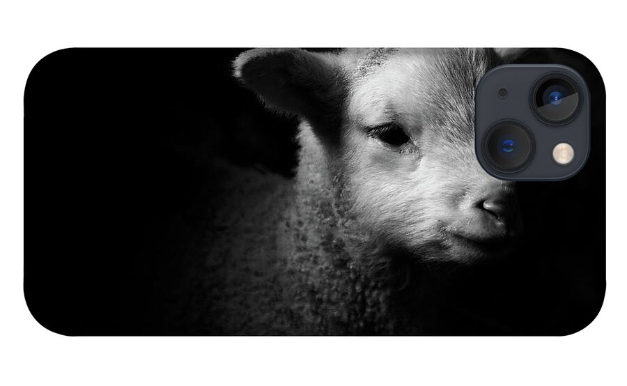 Animal Themes iPhone 13 Case featuring the photograph Dramatic Lamb Black & White by Michael Neil O'donnell