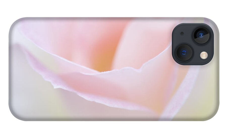 Rose iPhone 13 Case featuring the photograph Dreamy Rose by Patty Colabuono
